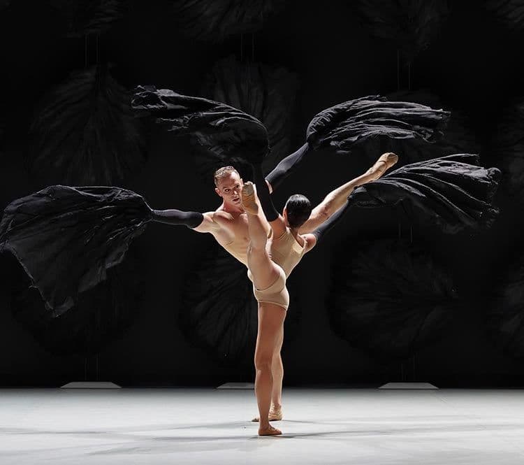 Malandain Ballet Biarritz: The Seasons